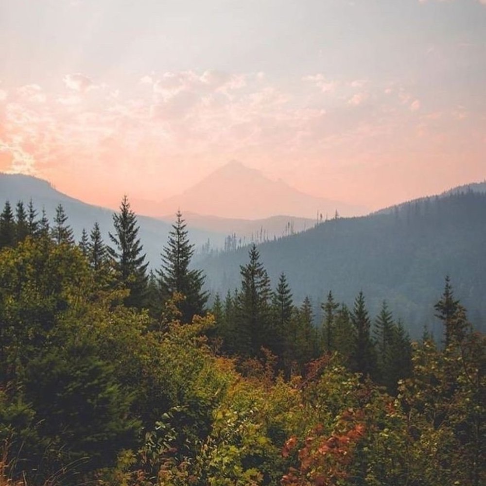 Meet your Posher, Brady